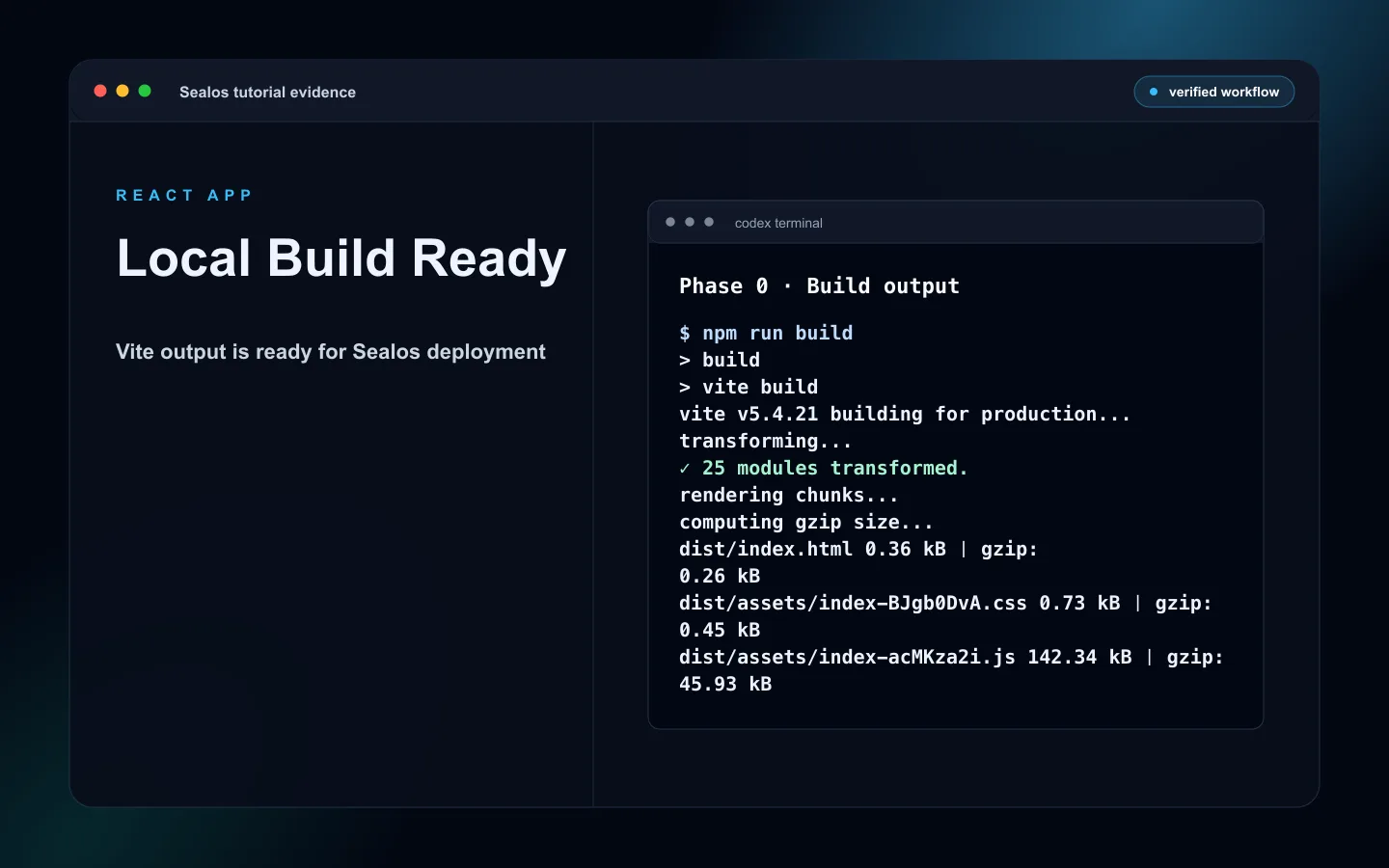 React local build output with dist ready for Sealos deployment