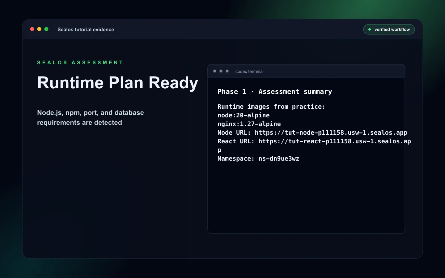 Node.js service assessment summary for Sealos deployment