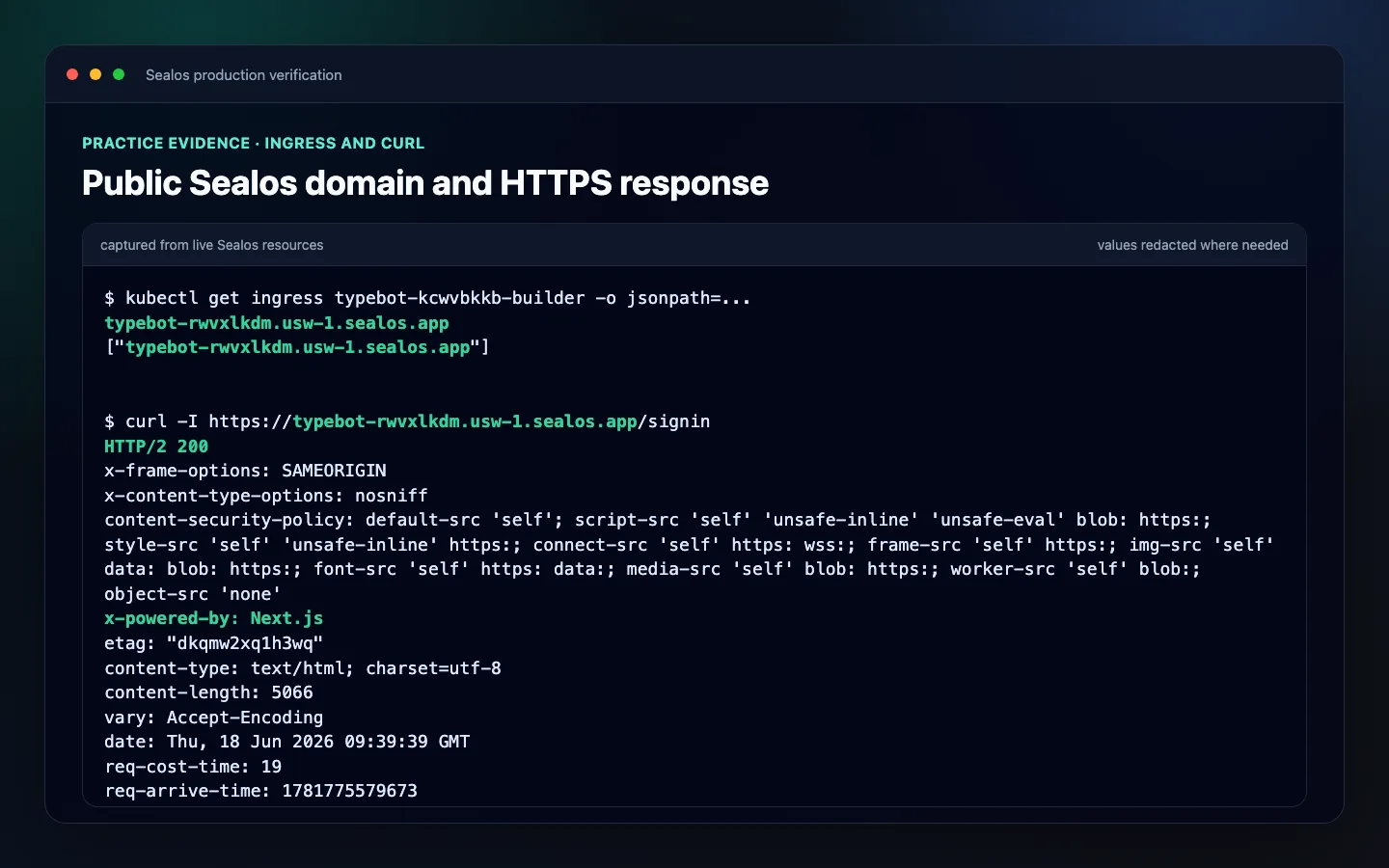 Sealos ingress host and HTTPS response for the practiced Next.js deployment
