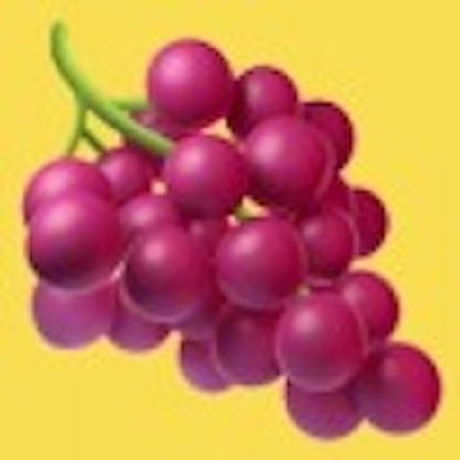 LiteLLM icon